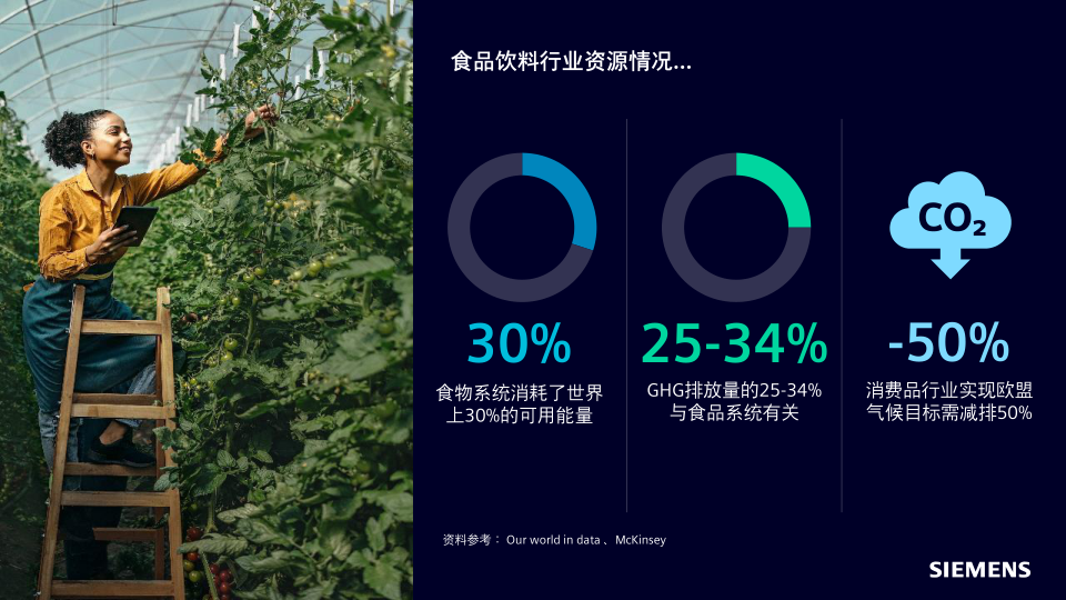 报告页面15