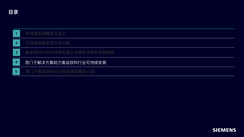 报告页面21