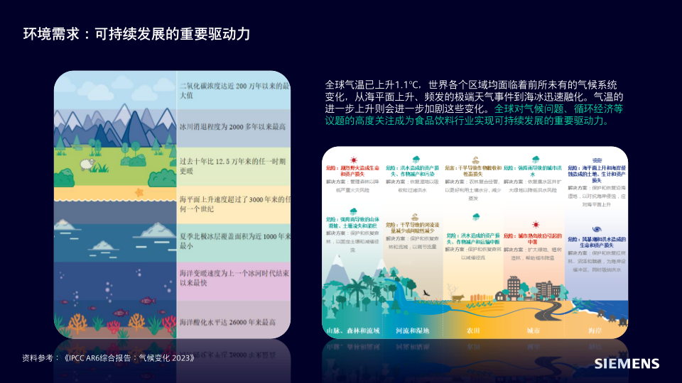 报告页面10