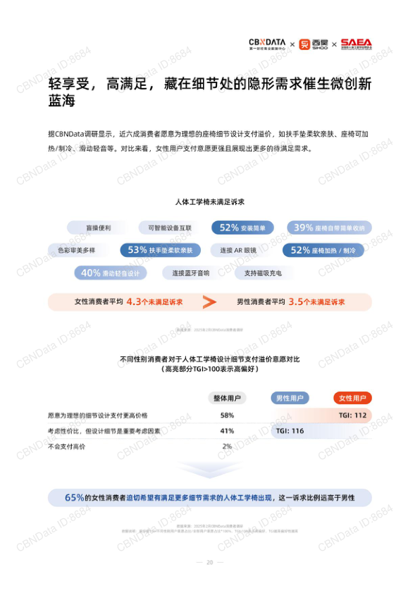 报告页面20