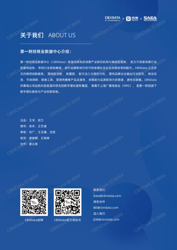 报告页面25