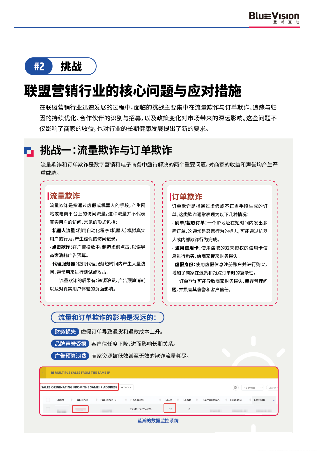 报告页面10