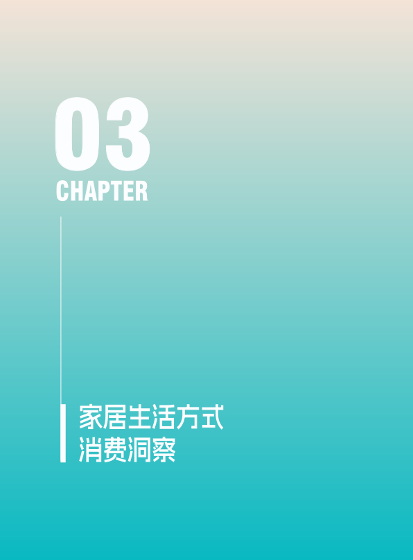 报告页面12