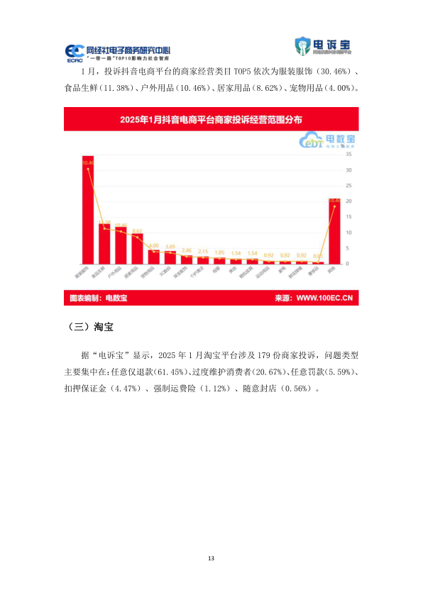 报告页面13