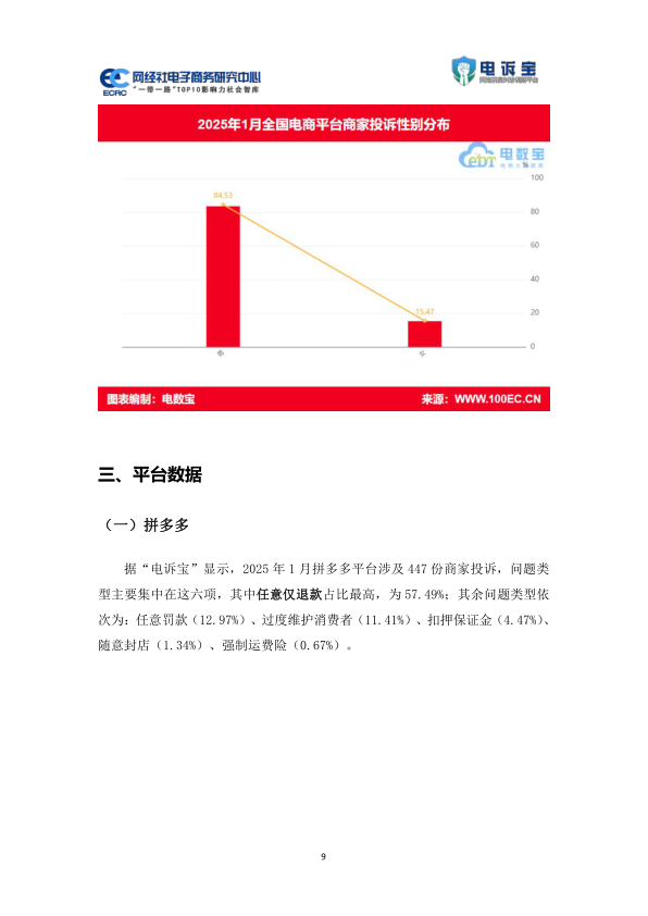 报告页面9