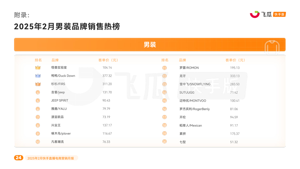 报告页面24