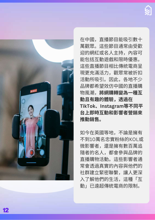 报告页面12