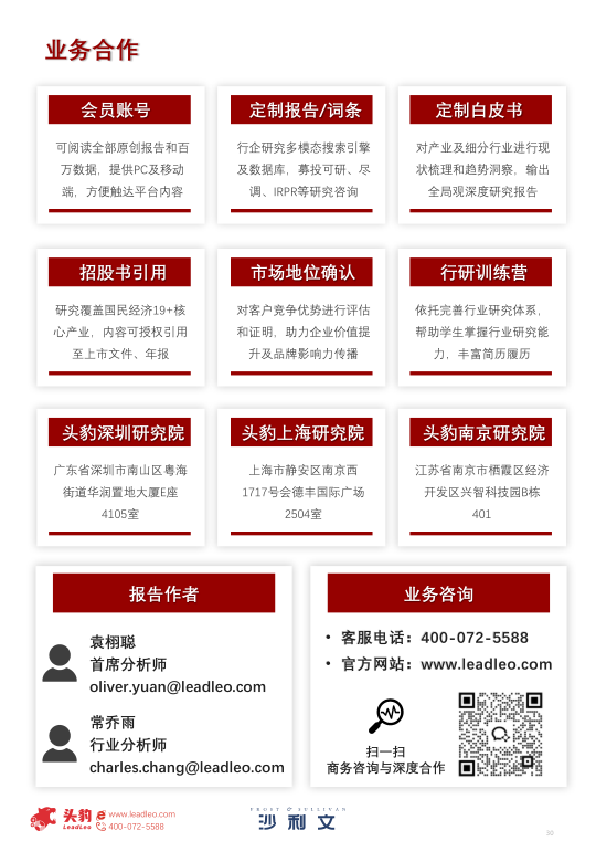 报告页面30