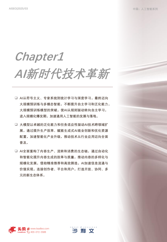 报告页面4