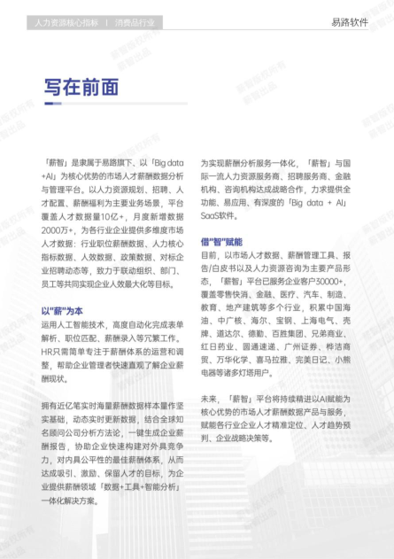 报告页面2
