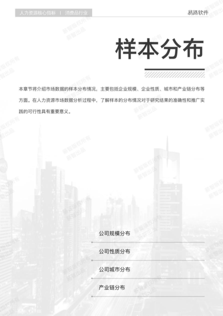 报告页面5