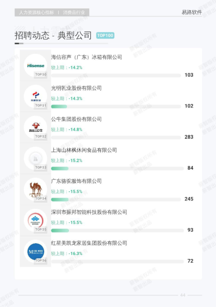 报告页面51