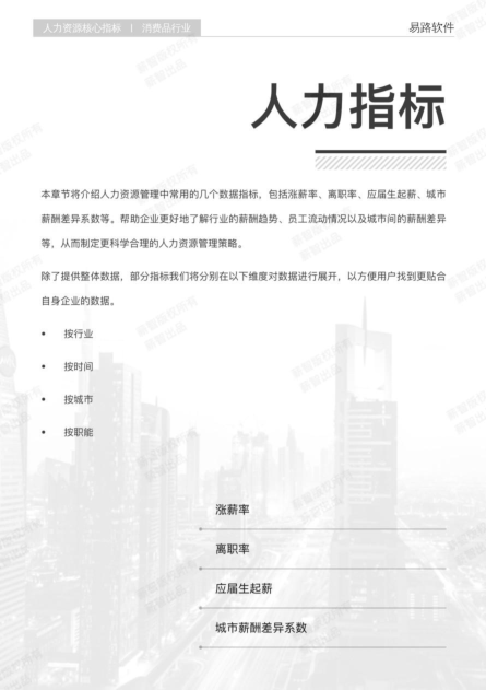报告页面10