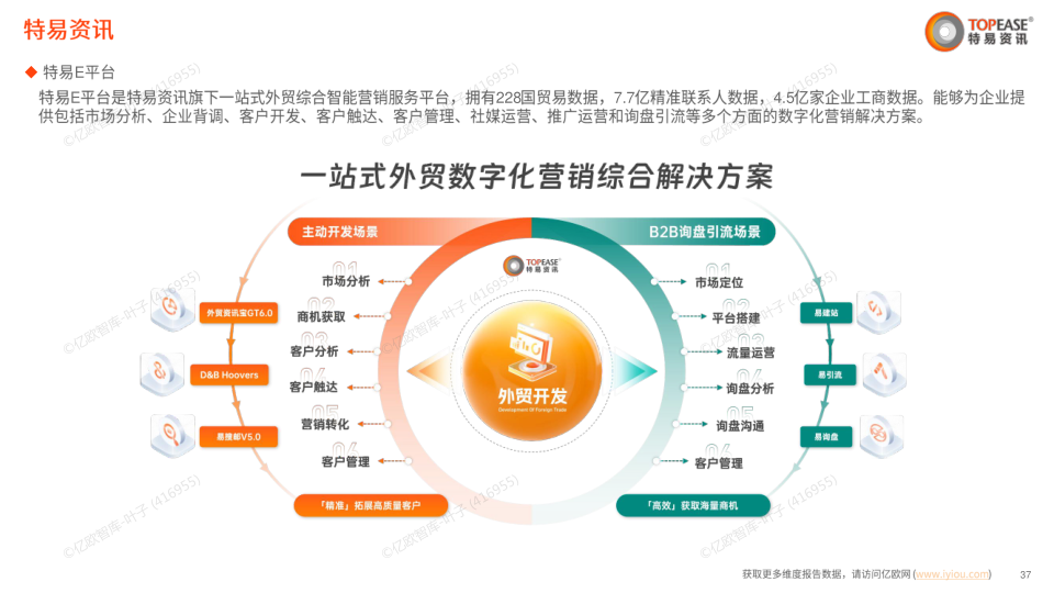 报告页面37