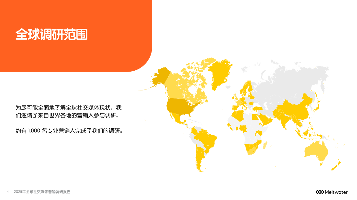 报告页面4