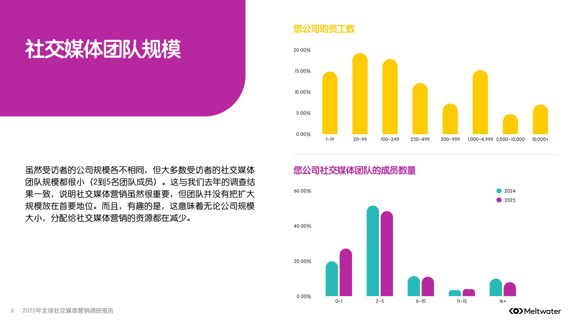报告页面6