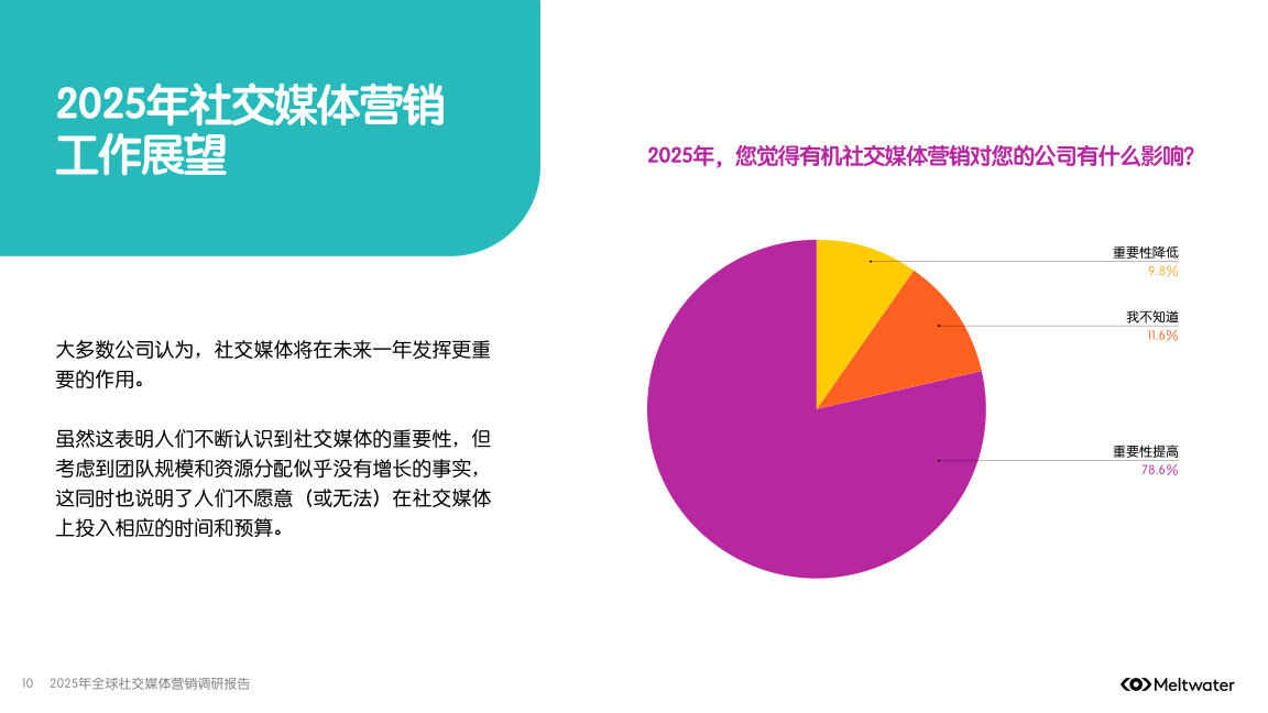 报告页面10