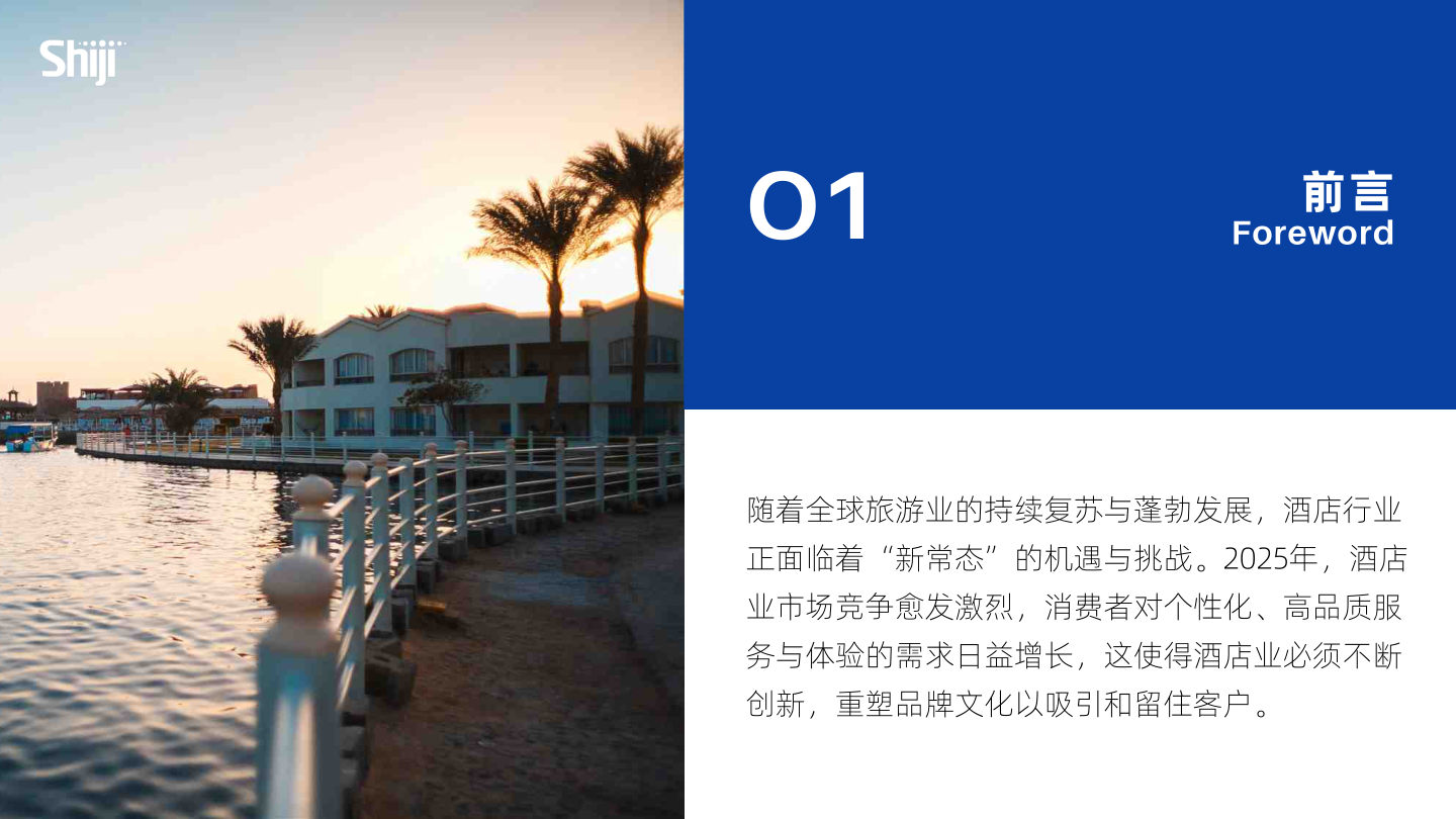 报告页面4