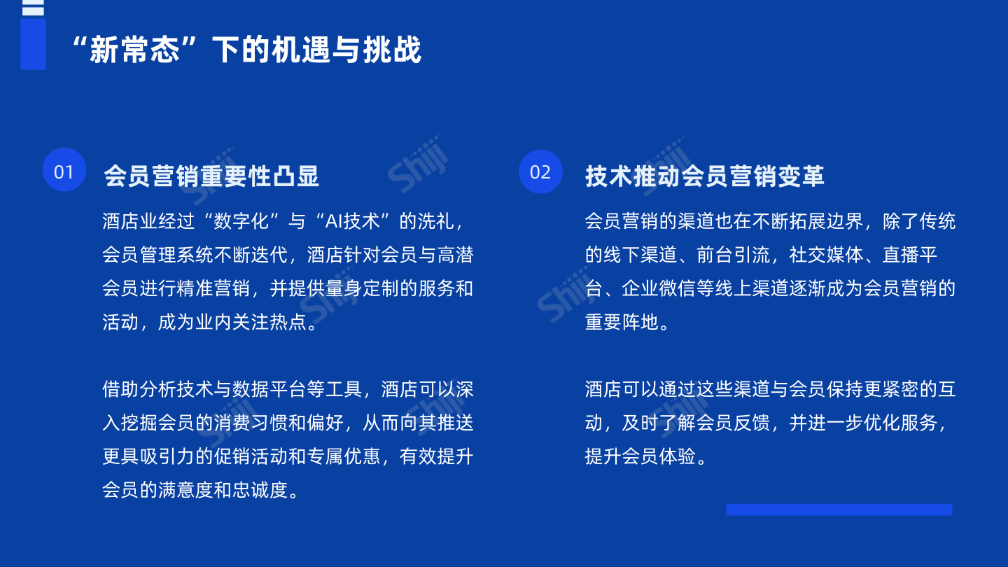 报告页面5