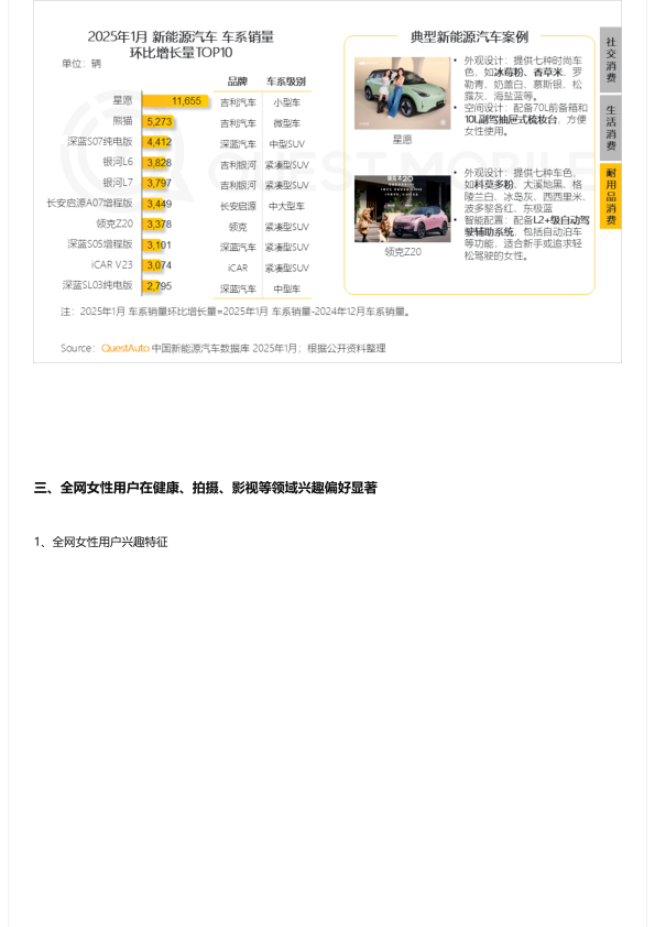 报告页面12
