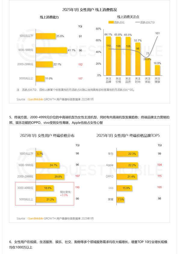 报告页面4