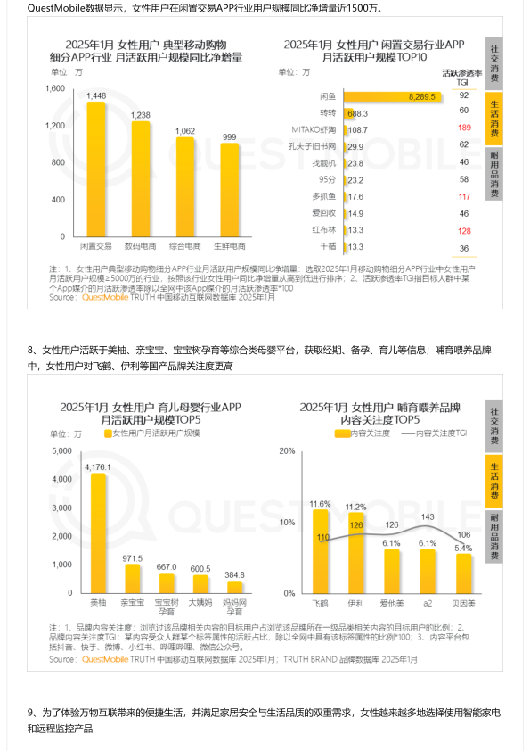 报告页面10