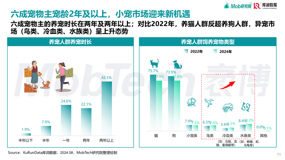 报告页面11