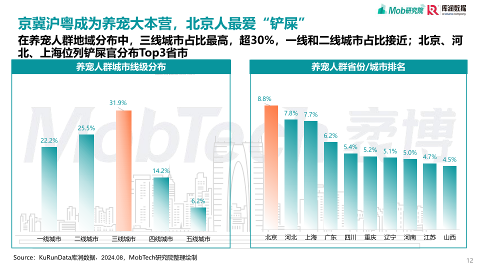 报告页面12