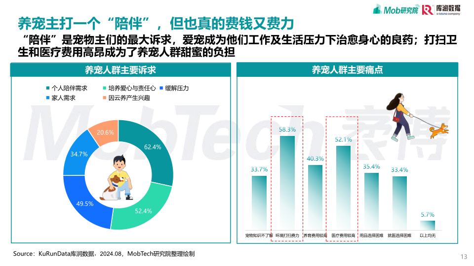 报告页面13