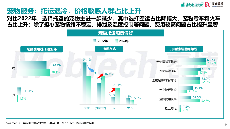 报告页面19
