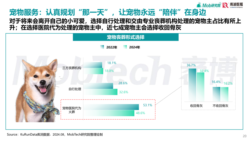 报告页面20