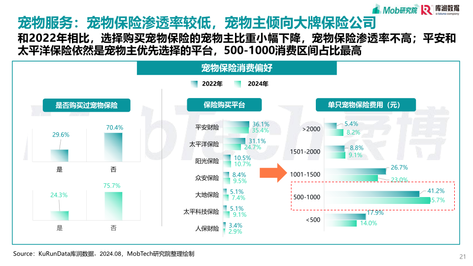 报告页面21