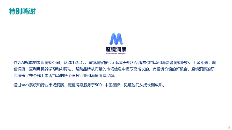 报告页面29