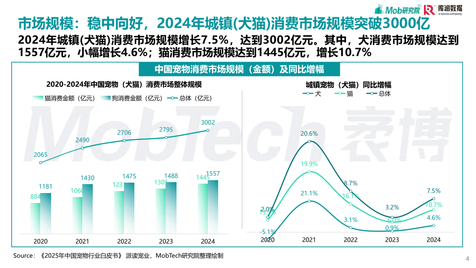 报告页面4
