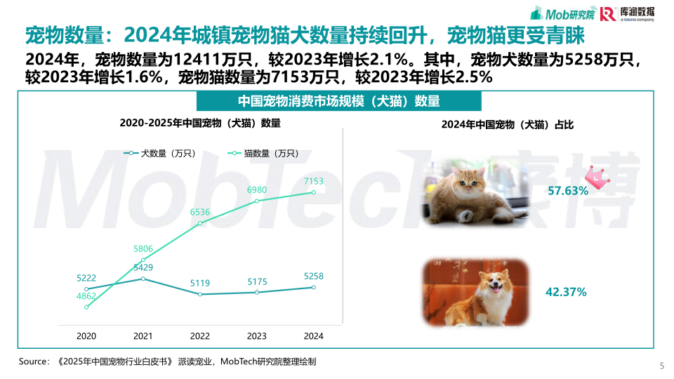 报告页面5