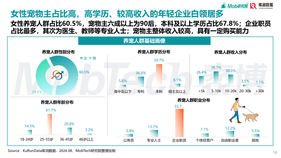 报告页面10