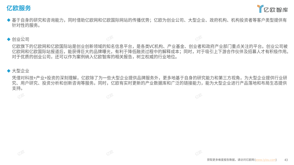 报告页面43