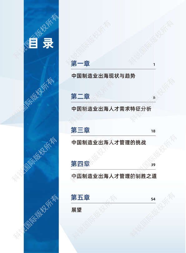 报告页面4