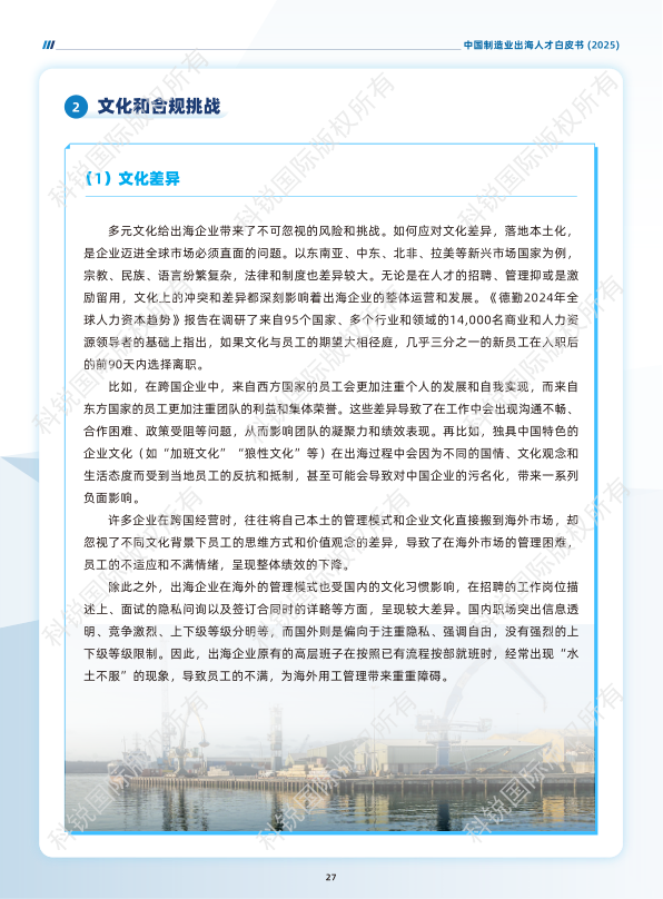 报告页面31