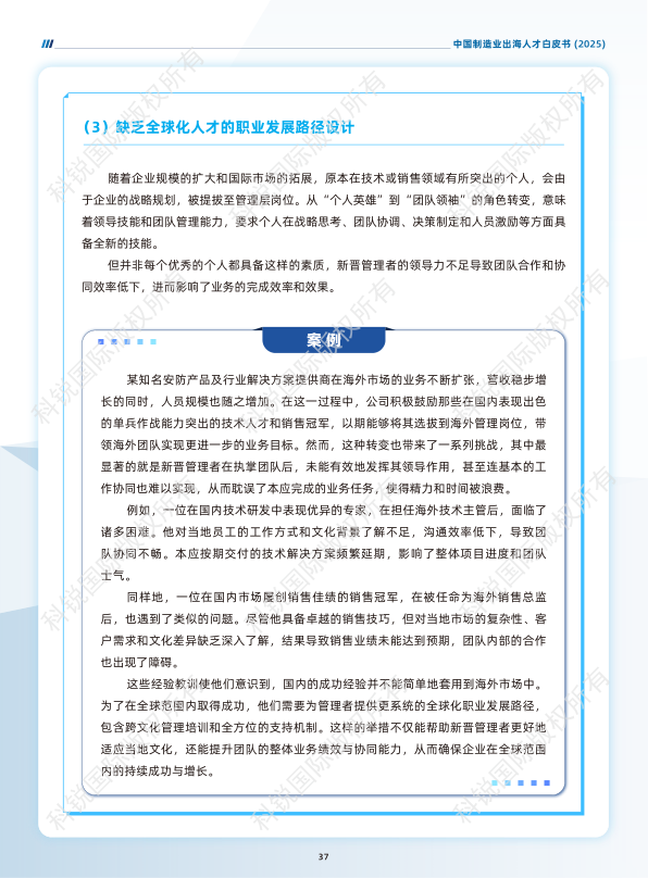 报告页面41