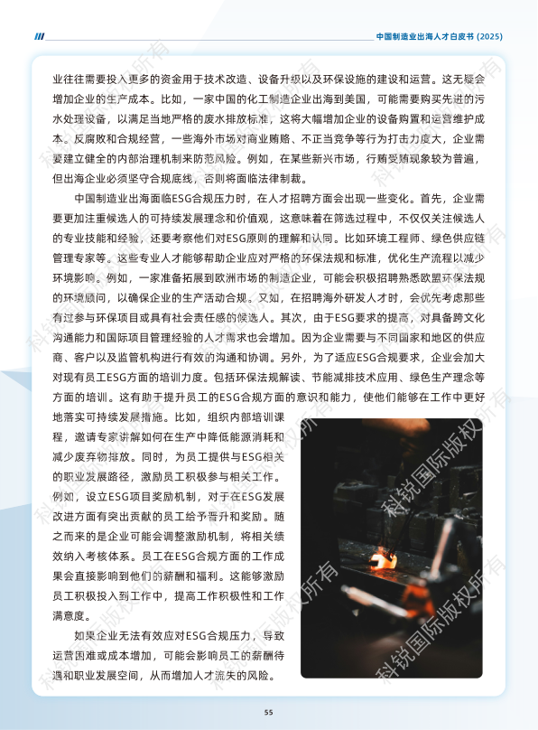 报告页面59