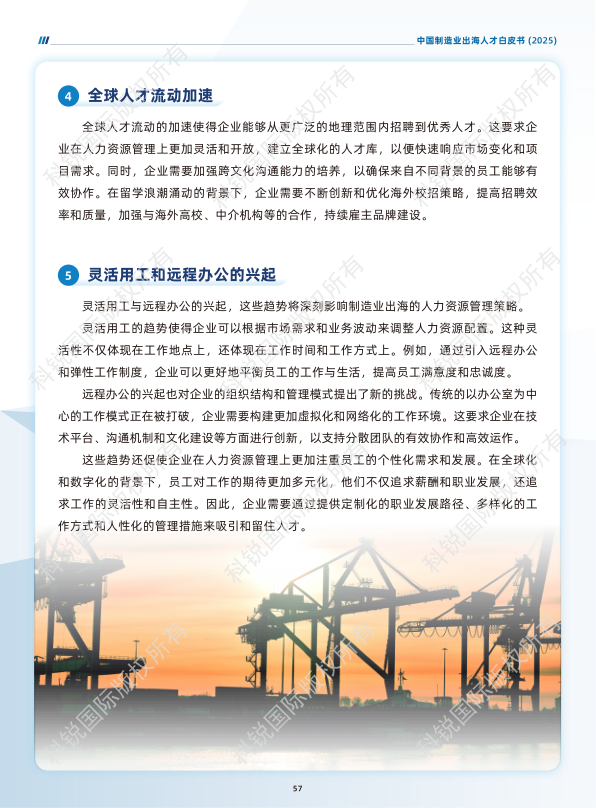 报告页面61