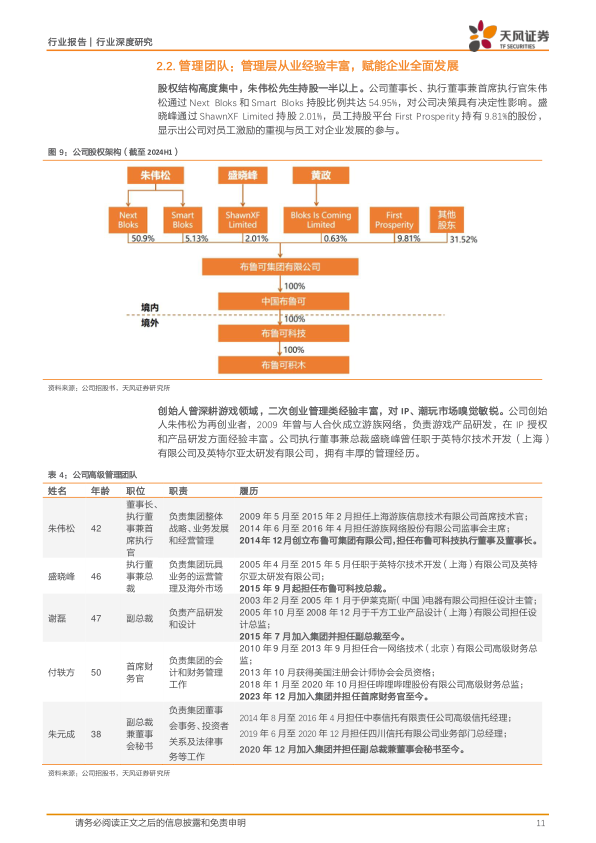 报告页面11