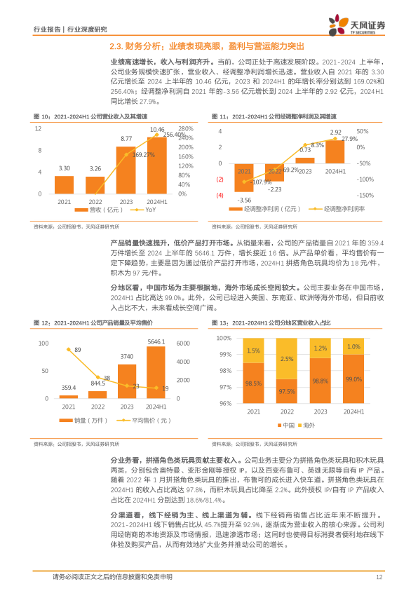 报告页面12
