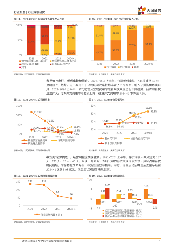 报告页面13
