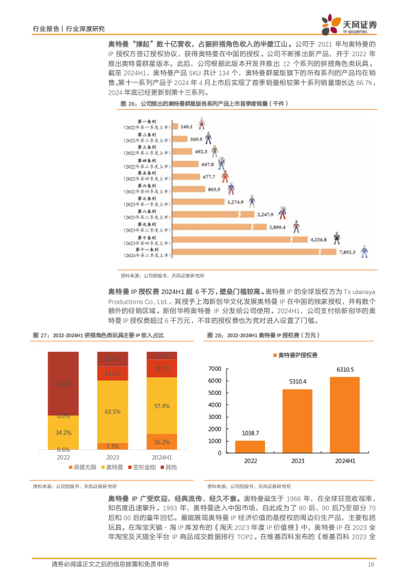 报告页面16