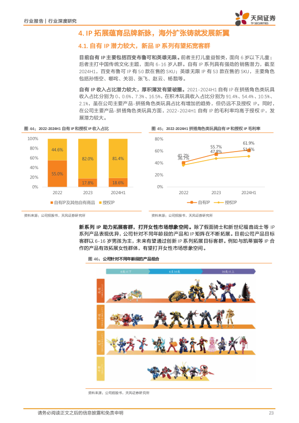 报告页面23