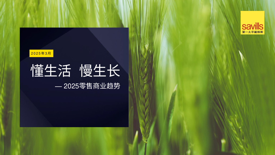 报告页面1
