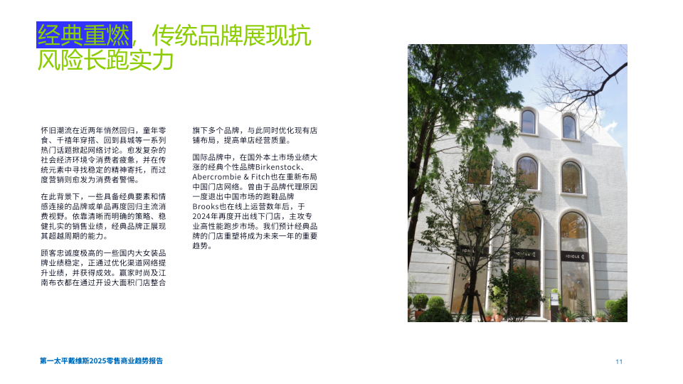 报告页面11