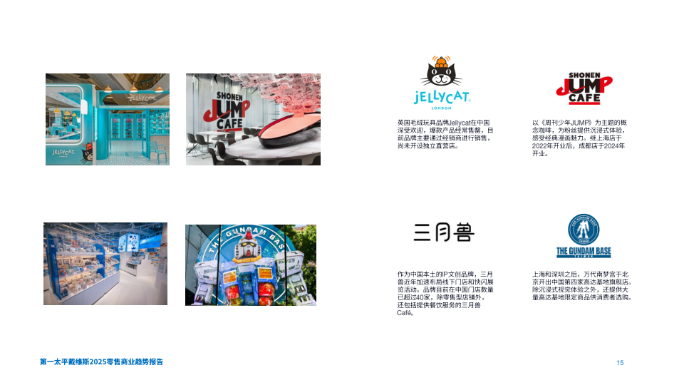 报告页面15